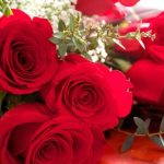ورد أحمر وفوائد الورد الأحمر صور ميكس 12