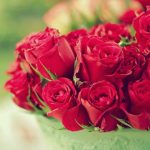ورد أحمر وفوائد الورد الأحمر صور ميكس 16