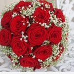 ورد أحمر وفوائد الورد الأحمر صور ميكس 27