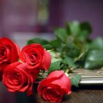 ورد أحمر وفوائد الورد الأحمر صور ميكس 9