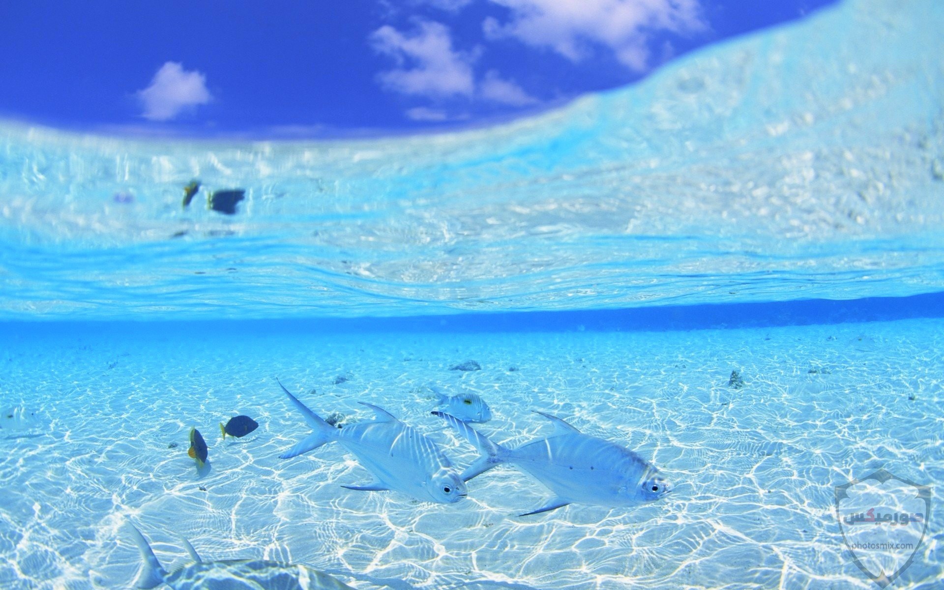 1000 Beautiful Sea Wallpaper Photos Pexels 5