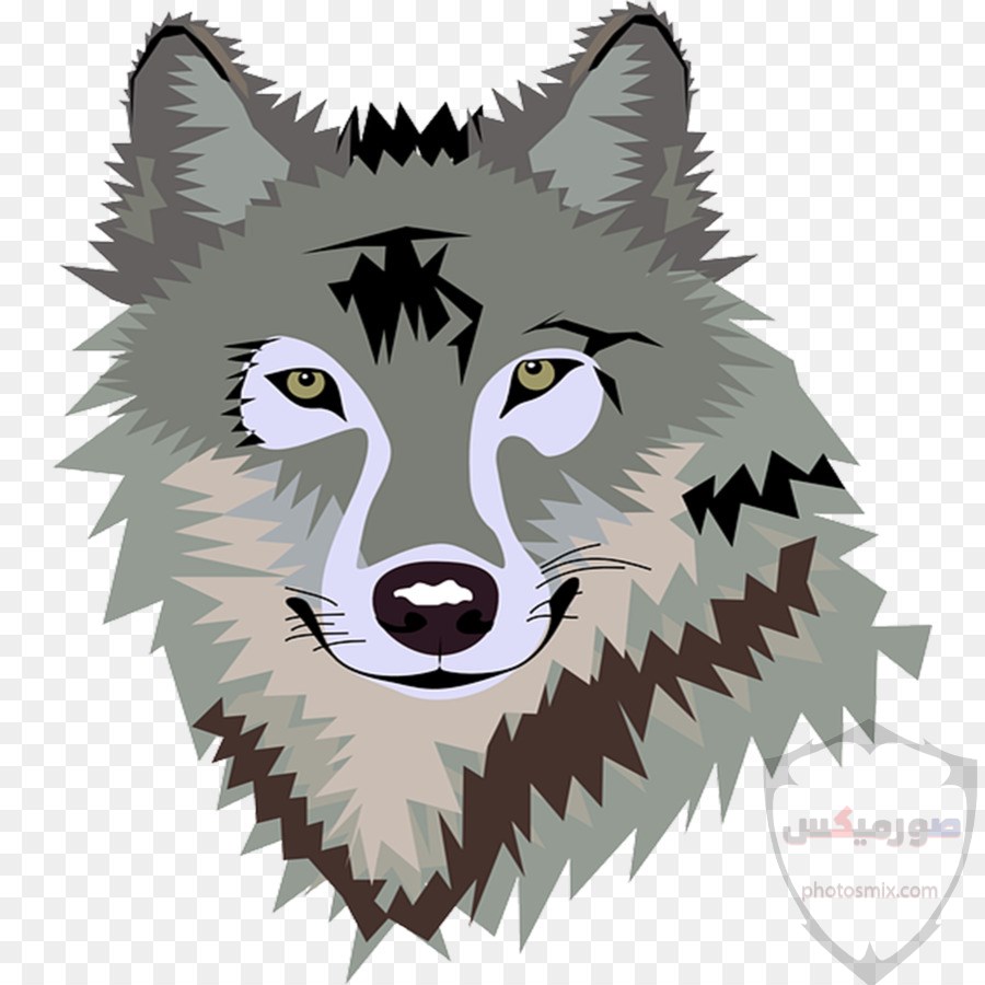 خلفيات وصور ذئاب جميلة Wolves 10