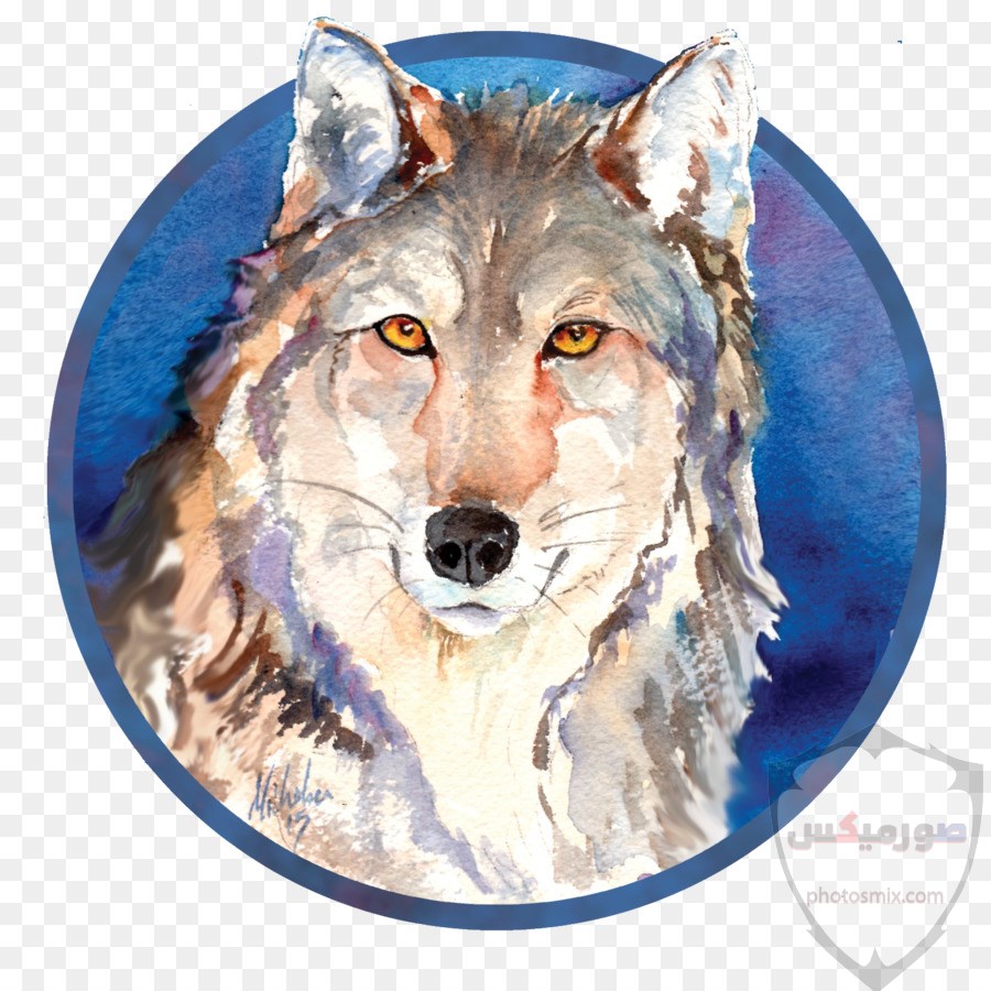 خلفيات وصور ذئاب جميلة Wolves 9