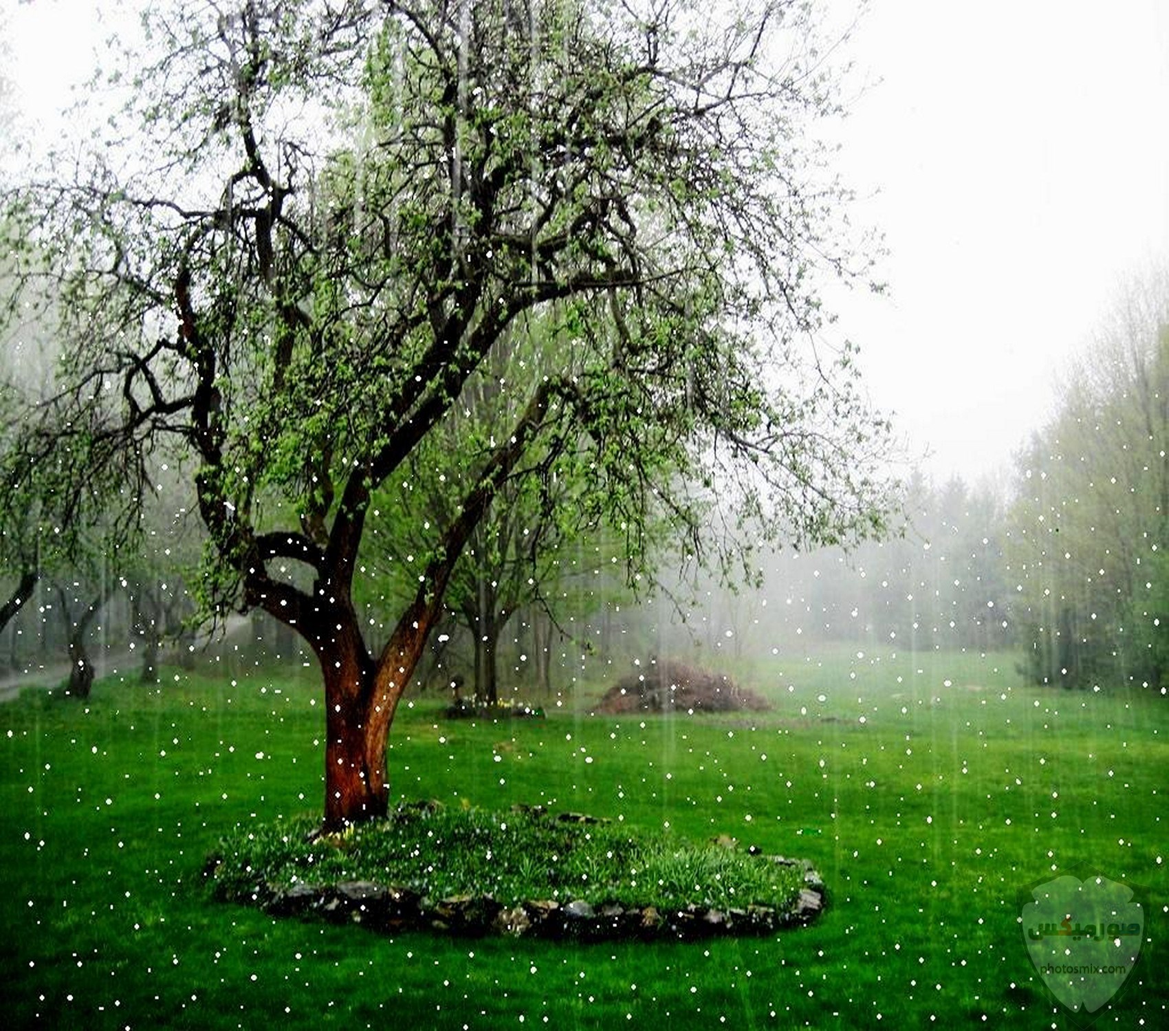 صور مطر جميلة اجمل خلفيات قطرات المطر ادعية عن الامطار والشتاء 12 1
