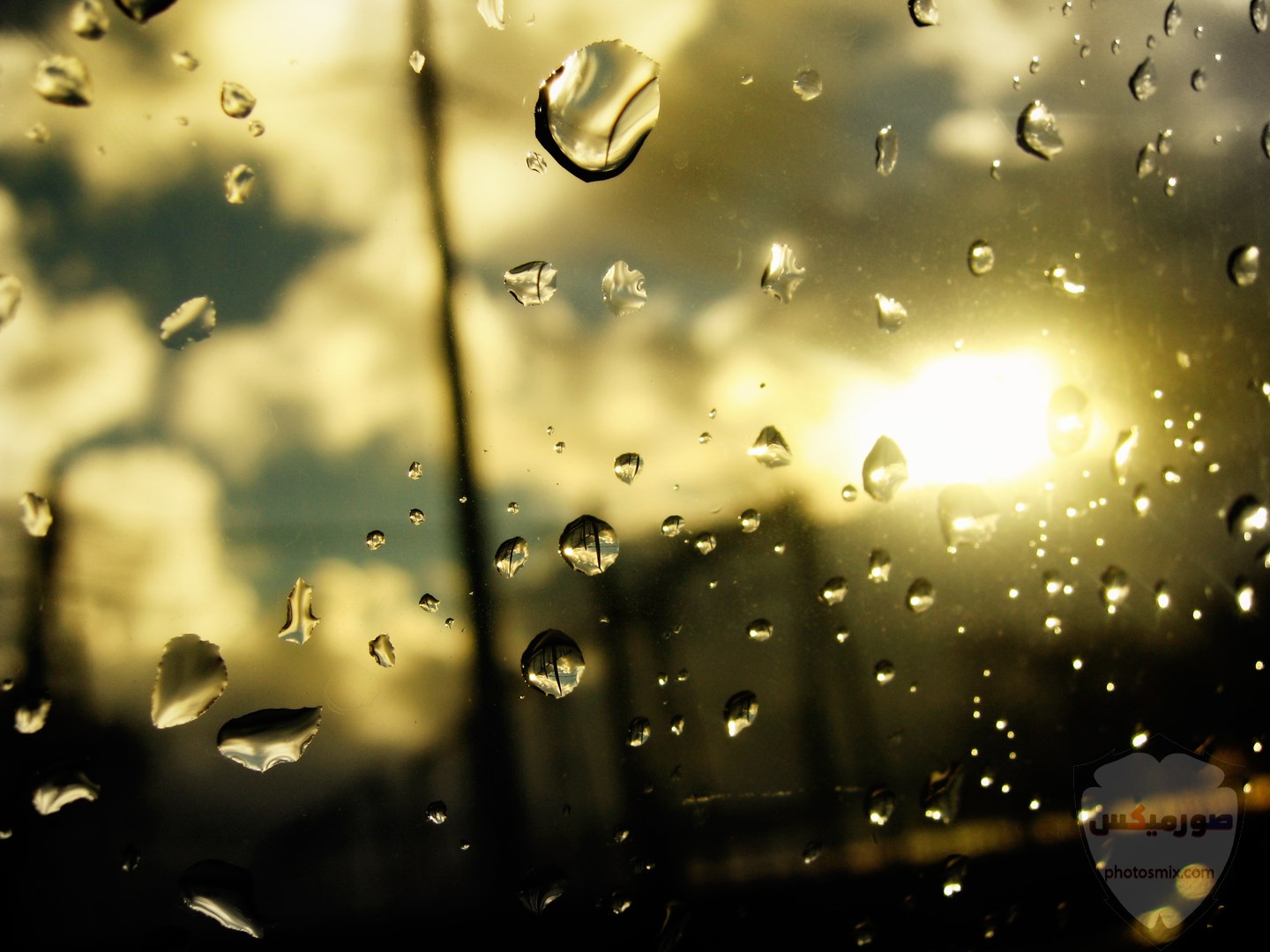 صور مطر جميلة اجمل خلفيات قطرات المطر ادعية عن الامطار والشتاء 6 1