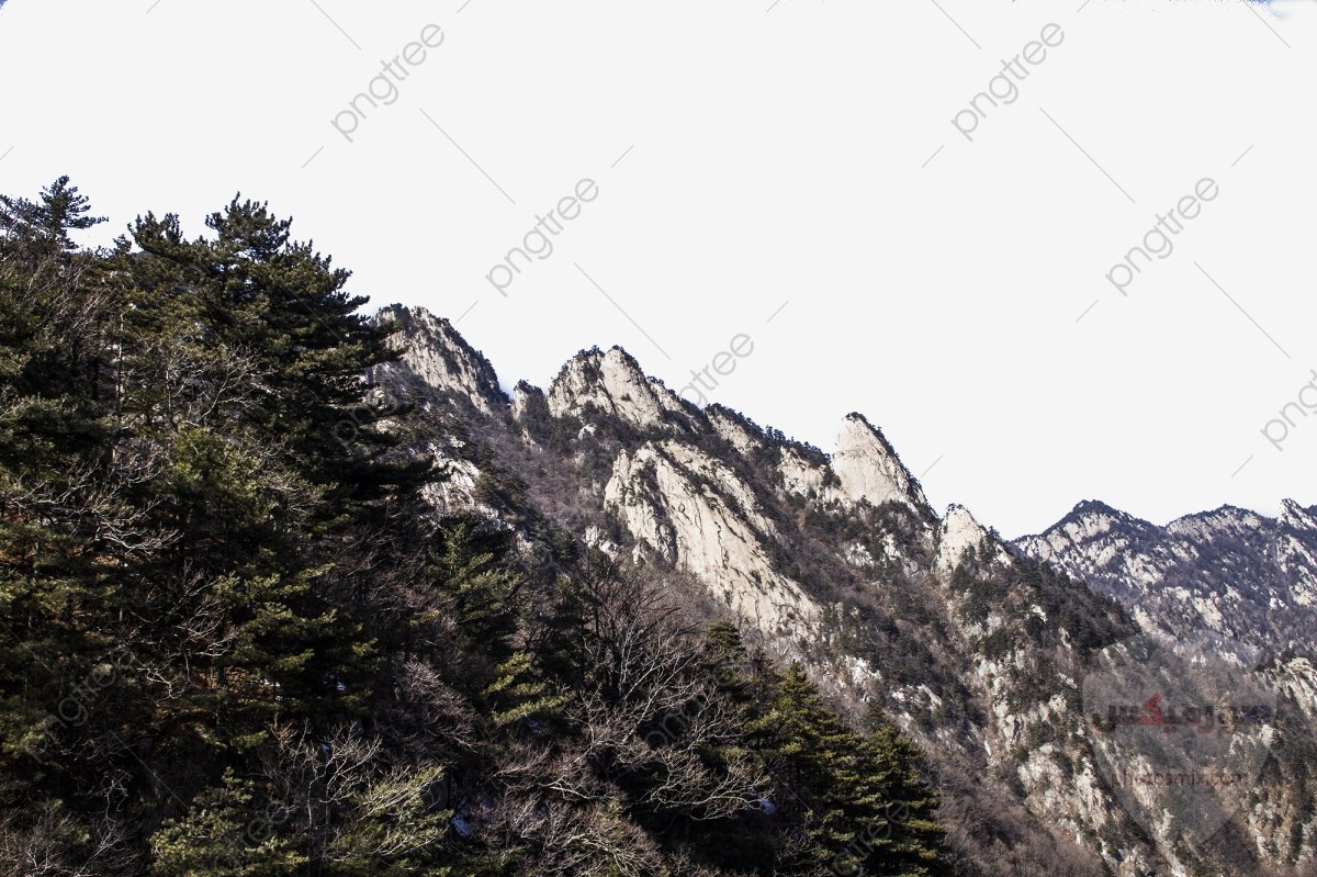صور وخلفيات جبال وشلالات طبيعية HD خلفيات جبال خضراء وثلجية 15