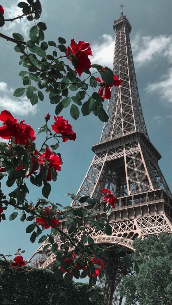 صورة برج ايفل مع الورد
