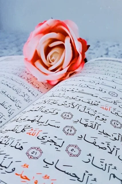 صور حلوة للقران الكريم يمكنك وضعها خلفية للموبايل او صورة للبروفايل
